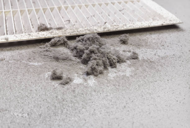 Best Local Air Duct Cleaning Services  in Brookshire, TX