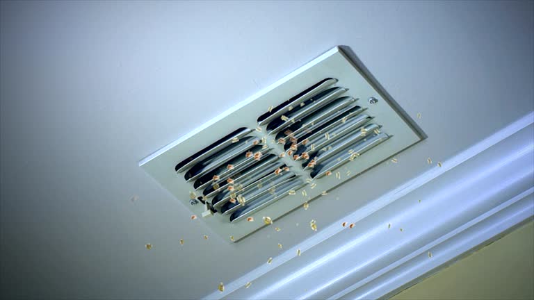 Best Professional Duct Cleaning Services  in Brookshire, TX